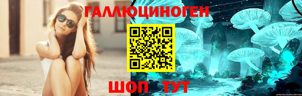 Псилоцибиновые грибы GOLDEN TEACHER Владимир